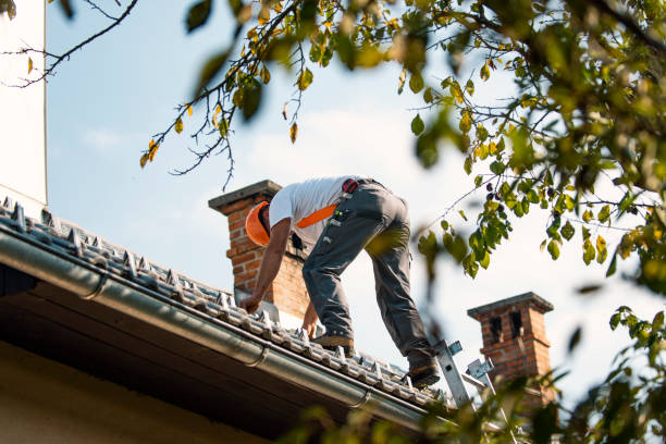 Best Flat Roof Repair Services  in Larksville, PA